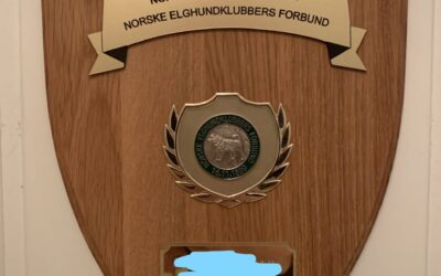 BESTILLING AV CHAMPIONAT SKJOLD 2025/26