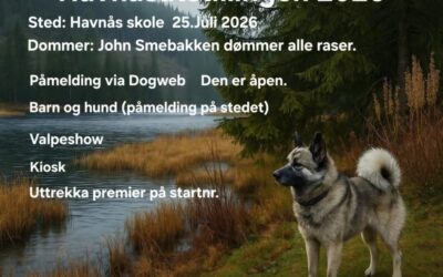 Utstilling Havnås 25 juli 2026